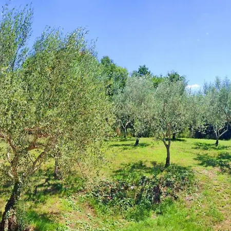 Retreat In Gornji Picudo شقة